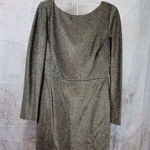 Diane Von Furstenberg Shimmery Dress
